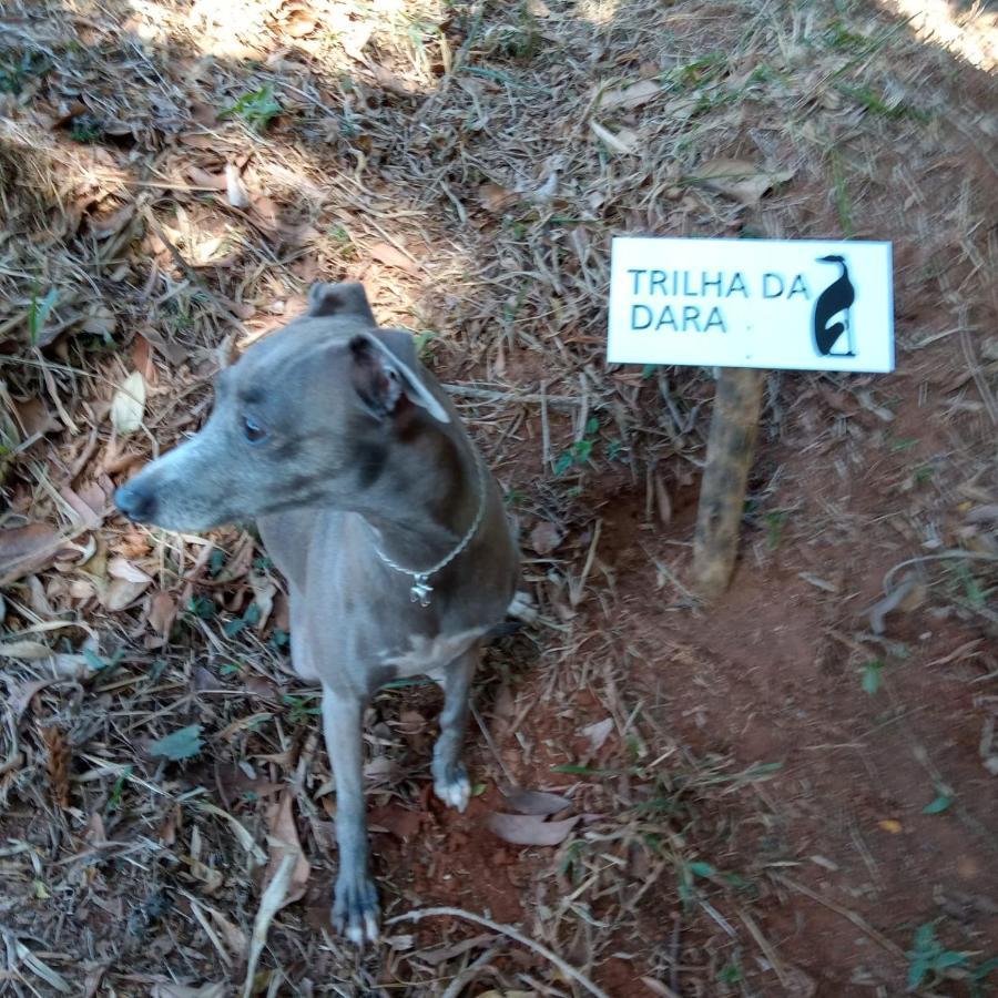 Apartament Casa Do Galgo São Bento do Sapucaí Zewnętrze zdjęcie